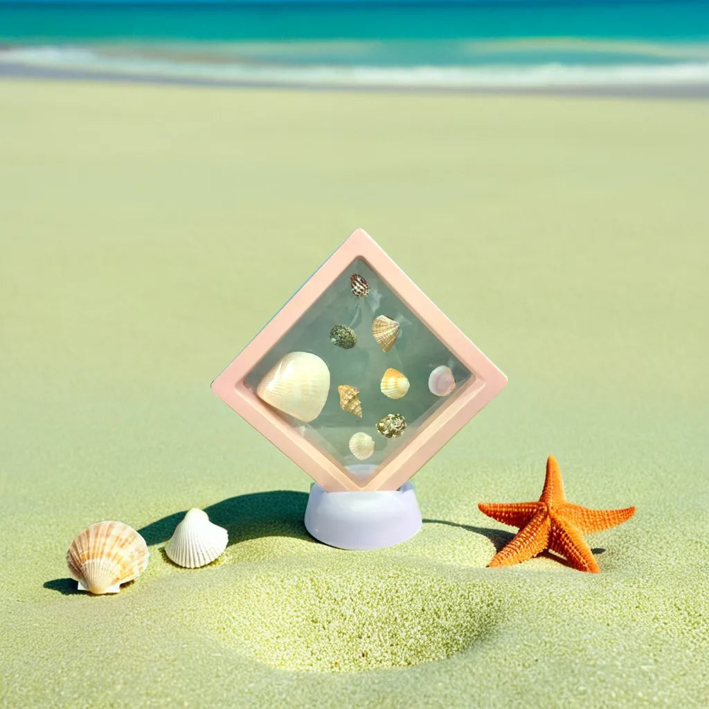 Shell Frame Google 3D Floating Shell Frame - Stretchable & Reusable