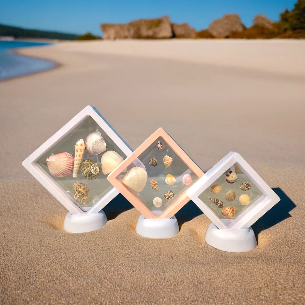 Wight Shell Frame 3D Floating Shell Frame - Stretchable & Reusable – FinGlass