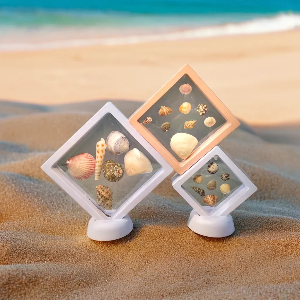 3D Floating Shell Frame - Stretchable & Reusable – FinGlass