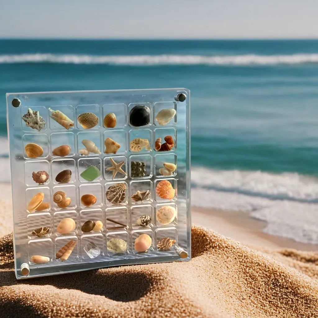 How to Identify Different Types of Seashells: A Comprehensive Guide fo